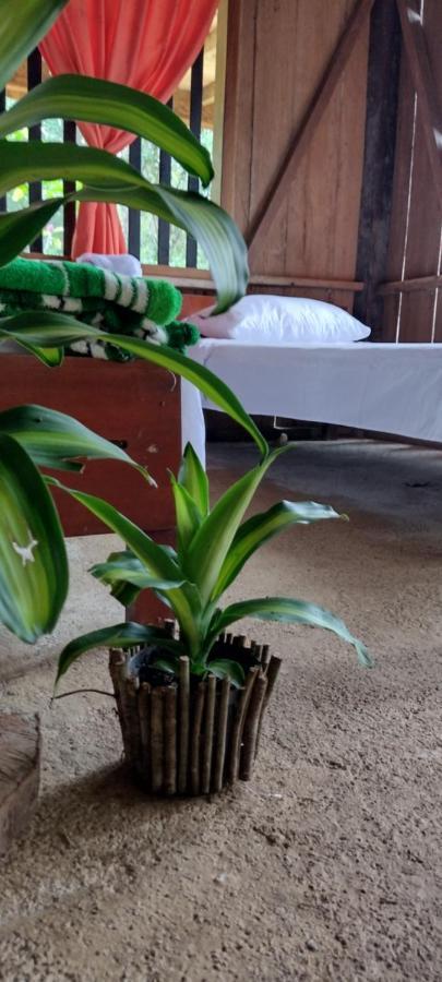 Huaca Huaca Hostel Mocoa Екстер'єр фото